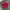 Kangol Luxury Casual Hat Pria red photo 1