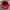 Kangol Luxury Casual Hat Pria red photo 5