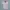 JOURNAL STANDARD Streetwear Avant Garde T-shirt Pria multicolor photo 8