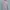 JOURNAL STANDARD Streetwear Avant Garde T-shirt Pria multicolor photo 3