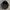 Kangol Luxury Casual Hat Pria gold black photo 6