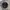 Kangol Luxury Casual Hat Pria gold black photo 1