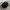 Kangol Luxury Casual Hat Pria gold black photo 8