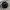 Kangol Luxury Casual Hat Pria gold black photo 7