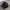Kangol Luxury Casual Hat Pria gold black photo 4