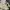 ZARA Sportswear Casual Puffer jacket Pria cream photo 7