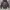 Avant Garde Hoody Pria black photo 1