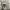 Y2K Grunge Cami top Wanita white black photo 3