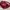 Coach Vintage Y2K Shoulder bag Wanita red photo 6