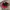 Nike Vintage Hat Pria red photo 4