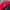 Nike Vintage Hat Pria red photo 3