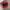 Nike Vintage Hat Pria red photo 1