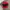 Nike Vintage Hat Pria Red
