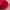 Nike Vintage Hat Pria red photo 7
