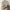 Frank Stone Streetwear Casual Sweatshirt Pria gray photo 4