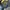 Japanese brand Vintage Streetwear Denim jacket Pria blue photo 4