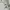 Versace Vintage Y2K Sunglass Wanita white gray photo 8