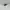 Vintage Y2K Sunglass Pria green gray photo 3