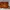 Longchamp Vintage Indie Crossbody Bag Wanita brown photo 5