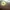 Longchamp Vintage Indie Crossbody Bag Wanita brown photo 8