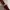 Gucci Luxury Crossbody Bag Wanita brown photo 6