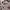 Grunge Casual Sweater Wanita white red photo 3
