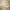 American Apparel Gorpcore Minimalist Denim jacket Wanita tan cream photo 5
