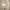 American Apparel Gorpcore Minimalist Denim jacket Wanita tan cream photo 2