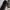 Converse Sportswear Sneakers Pria black photo 4