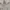 Adidas Streetwear Casual Sweater Pria multicolor gray photo 3