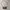 Vivienne Westwood Luxury Avant Garde Bags & purse Wanita multicolor photo 1