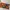 Vivienne Westwood Luxury Avant Garde Bags & purse Wanita multicolor photo 2