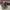Daks Minimalist Casual Shoulder bag Wanita brown photo 8