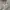 Vintage Streetwear Track jacket Pria cream photo 5