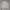 Vintage Streetwear Track jacket Pria cream photo 4