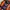 Adidas Y2K Bags & purse Wanita orange photo 5