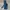 Helly Hansen Gorpcore Casual Track jacket Pria navy blue photo 2