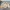 Alpha Industries Vintage Bomber jacket Pria tan photo 1