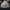 Gorpcore Hoody Pria white cream photo 1