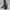 K2 Gorpcore Casual Track jacket Pria green photo 2