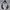 Millet Gorpcore Casual Track jacket Pria navy blue photo 3