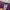 Adidas Streetwear Sportswear Tracksuit Pria purple photo 7