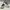 Puma Streetwear Sportswear Sneakers Kids Gray