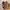 VANS Streetwear Skater Sneakers Pria gray cream photo 5