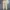 Gramicci Streetwear Sportswear Casual pants Pria tan photo 7