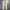 Gramicci Streetwear Sportswear Casual pants Pria tan photo 2