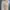 Gramicci Streetwear Sportswear Casual pants Pria tan photo 8