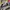 United Colors of Benetton Streetwear Cardigan Wanita multicolor photo 6