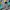 United Colors of Benetton Streetwear Cardigan Wanita multicolor photo 4