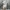 Shein Y2K Futurist Shirt dress Wanita silver white photo 3